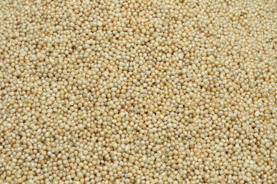 mother of pearl beautiful beads