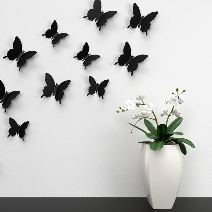black butterflies on a white wall