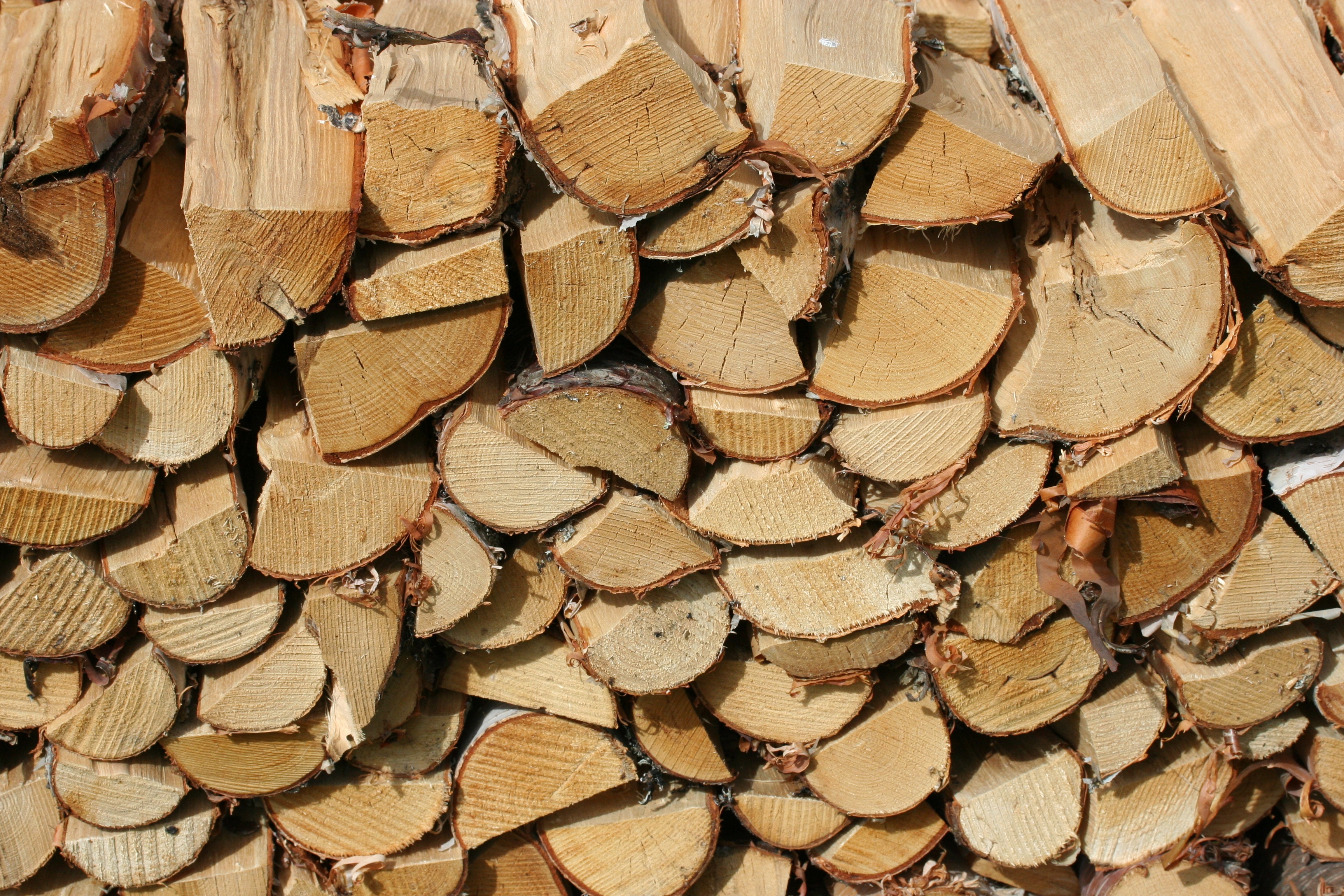 Какой лучше купить дрова. Дрова. Березовое бревно. Топливная древесина. Дрова дерево в бревнах.