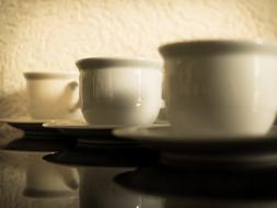 white coffee cups