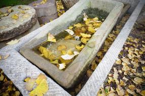 Autumn leaves in a stone bathtub