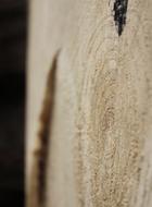 Wood Strain Tree
