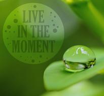 motivation live enjoy tackle things