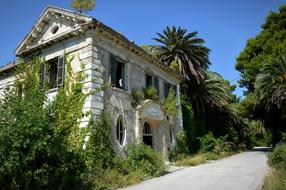 abandoned white house with palm trees