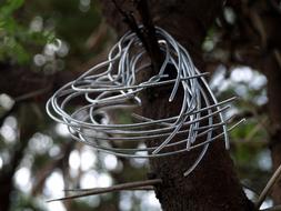 Thorn Tree Steel Hearts