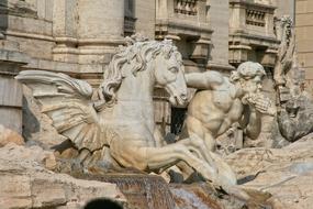 Italy Rome Fountain Radicchio