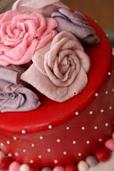 Sweet delicious cake decorated with roses