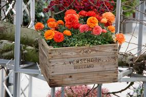 Flowers in wooden Basket Decoration