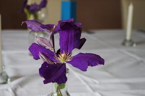 Table Manners Flower