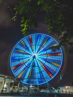 brightly lit ferris wheel in the park