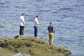 Fishing Fishermen Friends