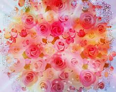 romantic background of roses