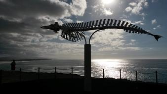 Iron sculpture of a fish against the sea