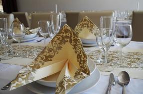 napkins in a plate