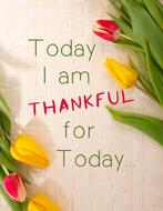 thankful thanks grateful thank you