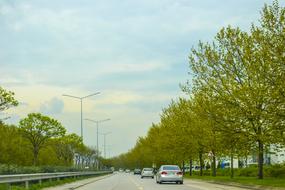Road Long Way trees