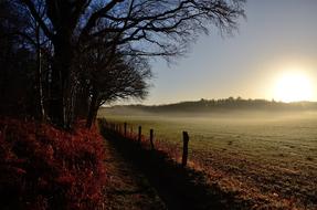 Autumn field in the sunshine
