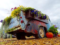 Vehicle Flowers Display