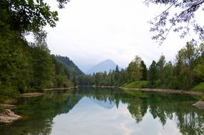 Riparian Zone Lake landscape