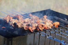 roast meat in the countryside