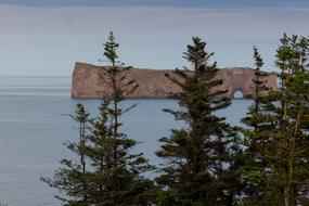 Gaspe Canada Nature