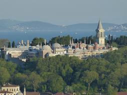 great view of the mosque