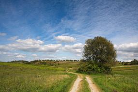Beautiful and colorful landscape of the fields with plants, in Krakow- Czestochowa Upland, in Poland, under the blue sky with white clouds