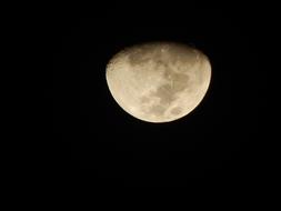 yellow big moon in the night sky