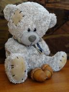 stuffed bear with nuts