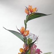 Decoration Flowers Hobby