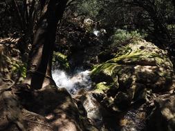 water spring in the forest