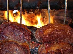 roast meat on the campfire