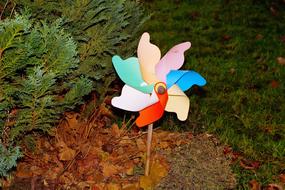 plastic color wheel in the garden
