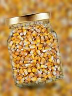 Corn Glass Lid