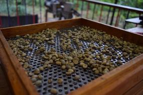 grain drying