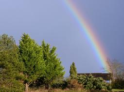 Rainbow Nature Colors