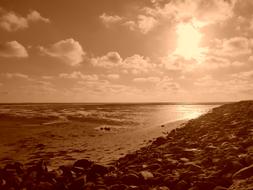 north sea in sepia background