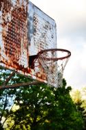 Basketball Hoop Urban Decay