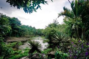 Beautiful landscape of the water with reflections, among the colorful plants