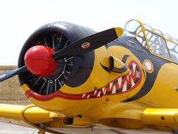 Multicolored airplane with a picture