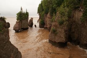 brown sea in the rocks