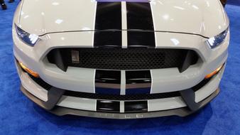 Shelby Sports Car Vehicle