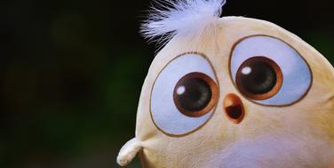stuffed birdie