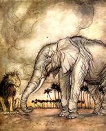 vintage book illustration of elephant