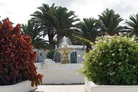 beautiful fountain among the trees
