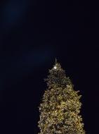 Christmas Decorated Dark