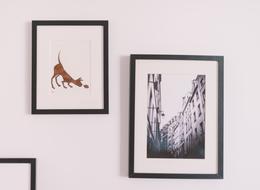 Pictures in dark Frames on wall