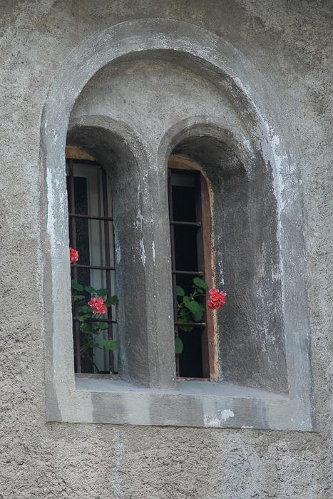 Window Flower Weathered