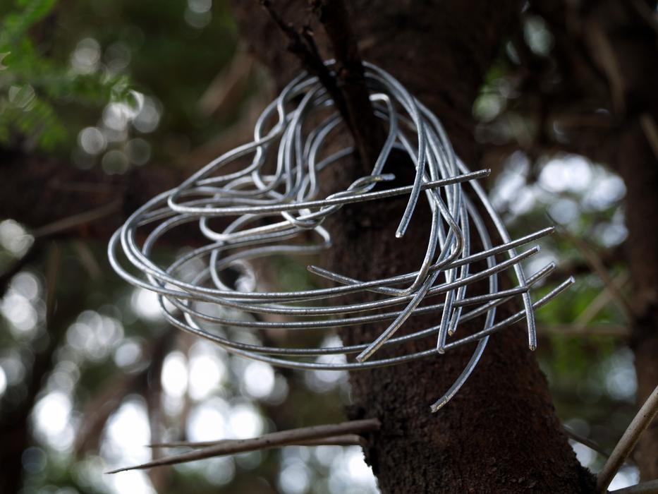 Thorn Tree Steel Hearts