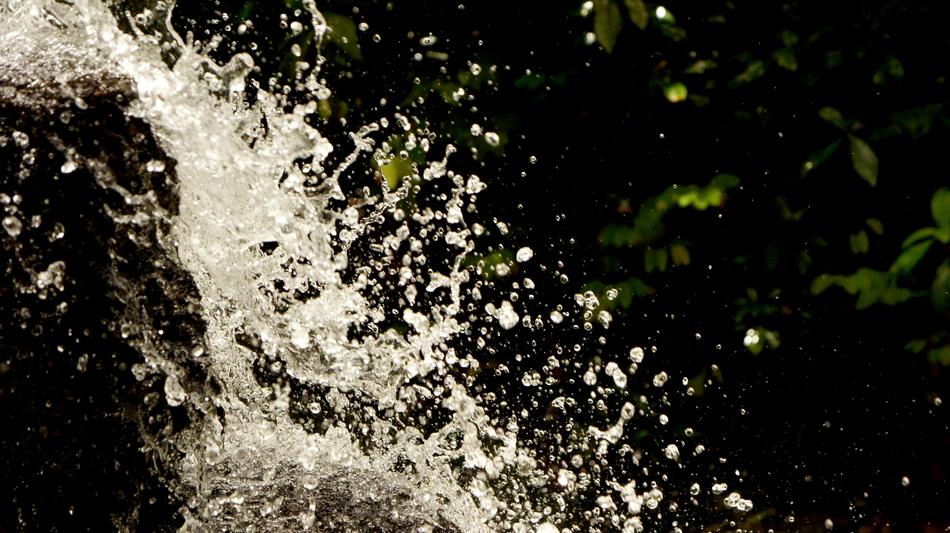 splashing water against a background of trees